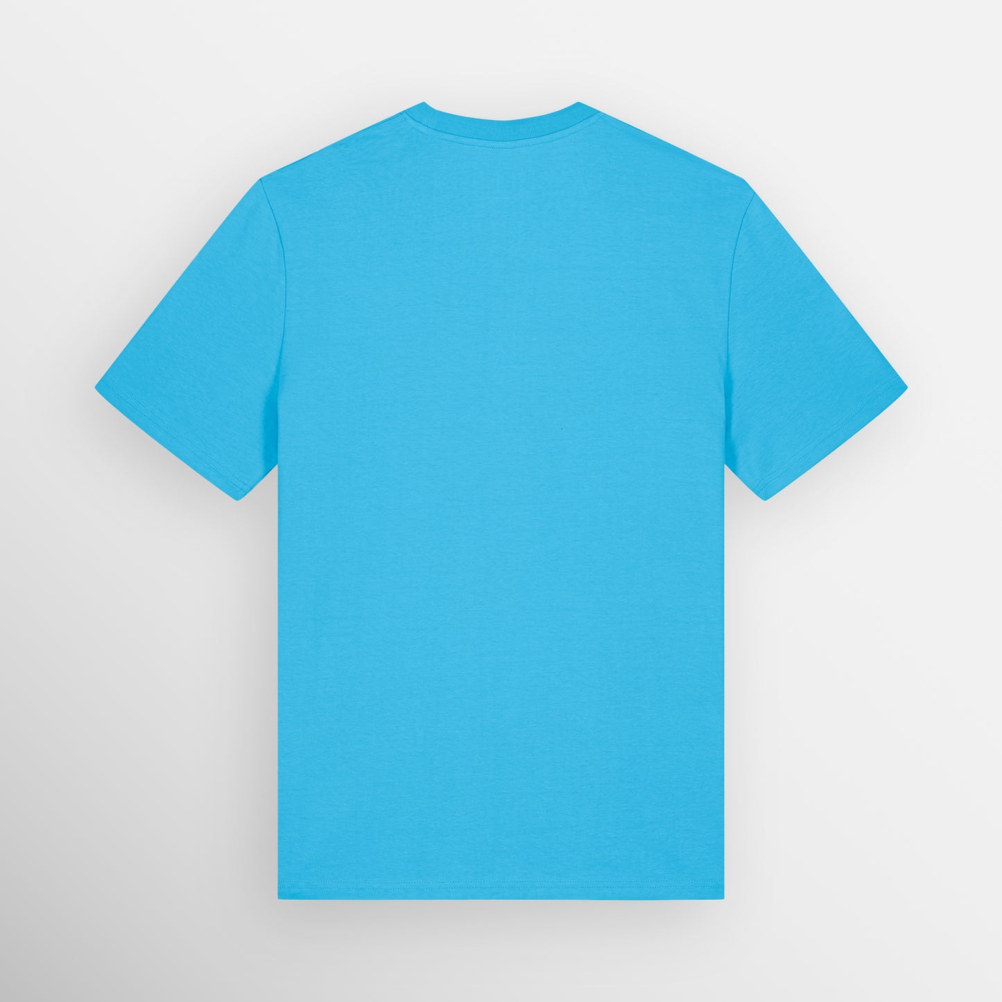 Image shows the plain back of the Aqua Blue coloured regular fit t-shirt.