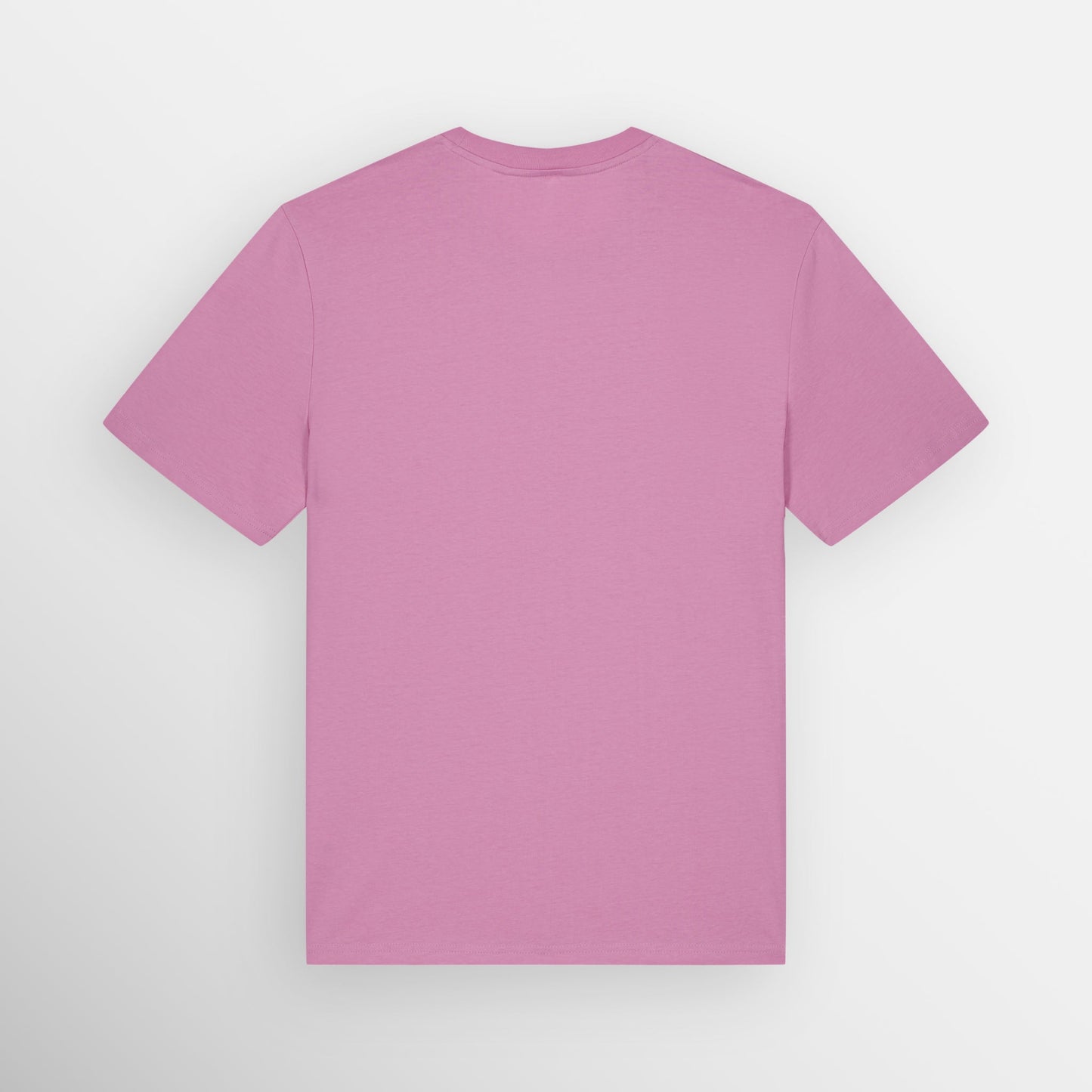 Image shows the plain back of the Bubblegum Pink coloured regular fit t-shirt.