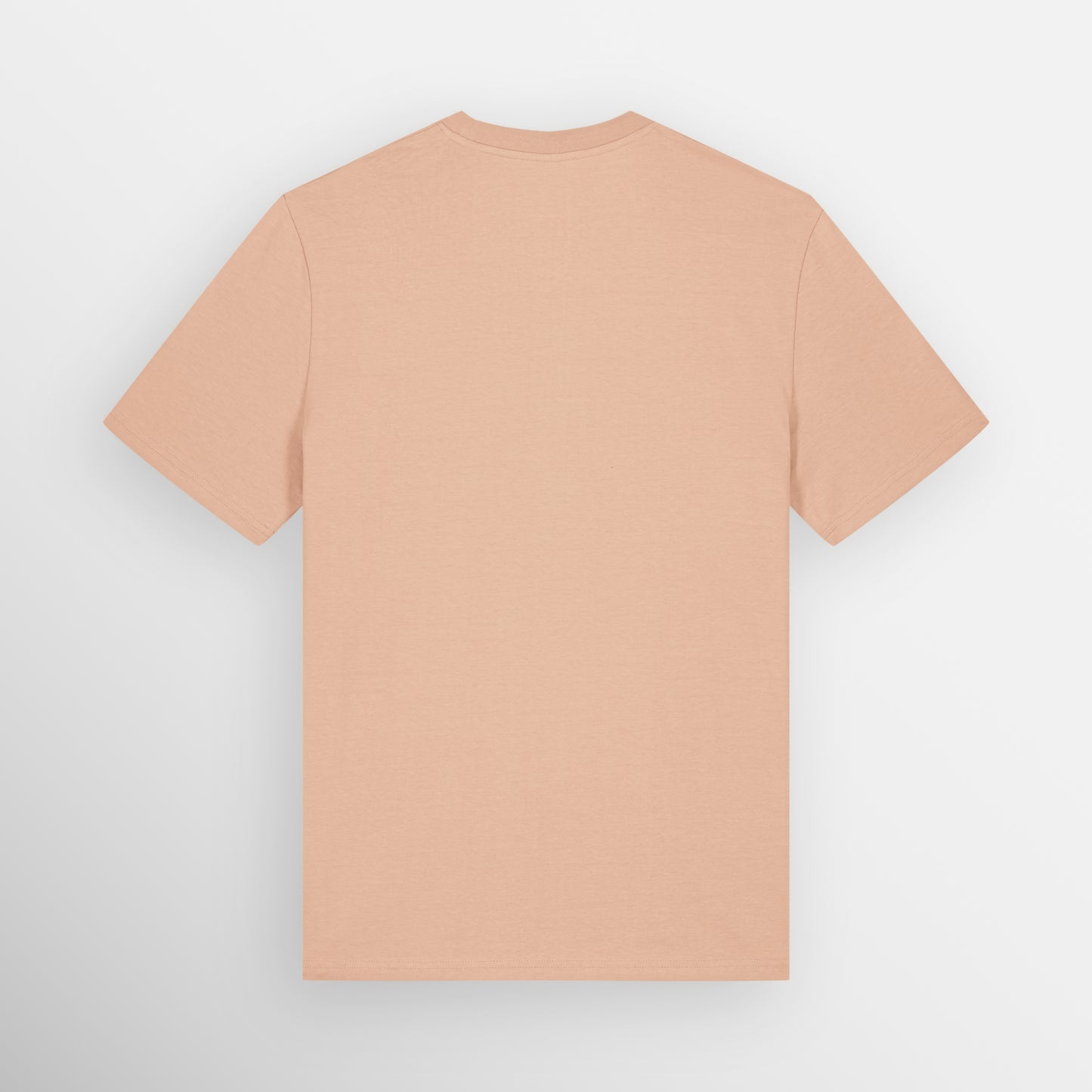 Image shows the plain back of the Fresh Peach coloured regular fit t-shirt.