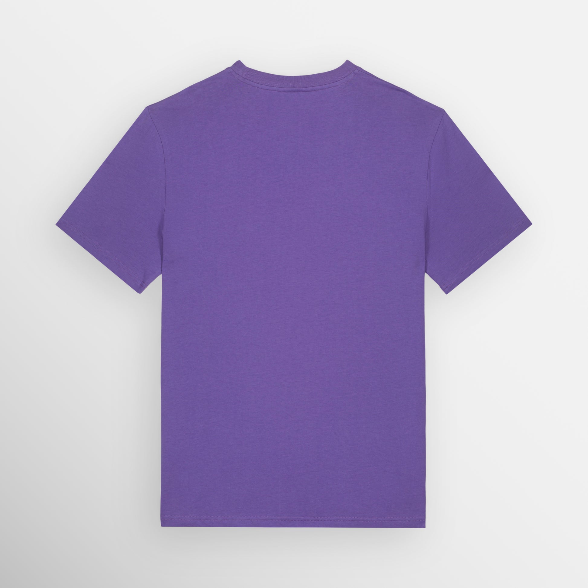 Image shows the plain back of the Purple coloured regular fit t-shirt.